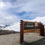 Skagway: Klondike Highway & Yukon Bus Tour with Husky Kennel - Authentic Experiences & Traveler Impressions