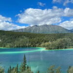 Skagway: Yukon Dog Mushing & Sightseeing Tour - Is It Worth the Price?