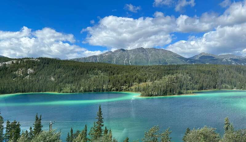 Skagway: Yukon Dog Mushing & Sightseeing Tour - Is It Worth the Price?