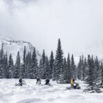 Ski & Snow Tour to Bakuriani from Kutaisi with Borjomi Stop - A Detailed Look at the Bakuriani Snow & Borjomi Tour