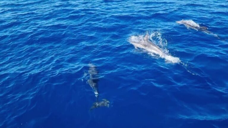 Skiathos private tours :Sailing day with lunch on board, - The Value of a Private Yacht Experience