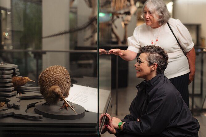 Skip the Line: Auckland Museum General Admission Ticket - Practical Tips for Visitors