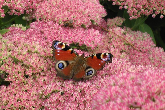 Skip-the-Line: Botanic Garden Entry Ticket - In-Depth Review of Dundee Botanic Garden