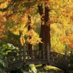 Skip the Line: House and Garden Admission Ticket - Practical Information