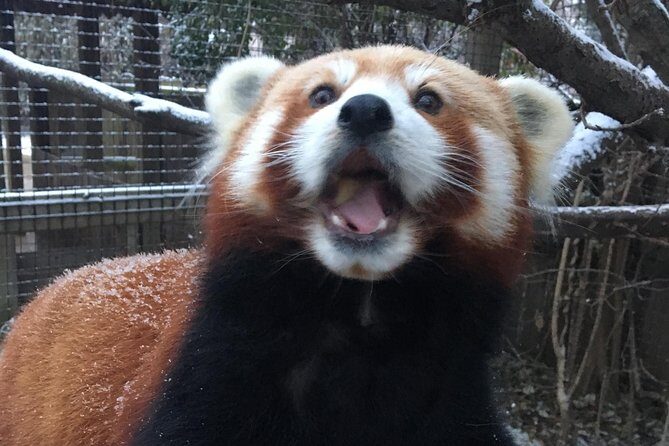 Skip the Line: Miller Park Zoo General Admission Ticket - Who Should Visit Miller Park Zoo?