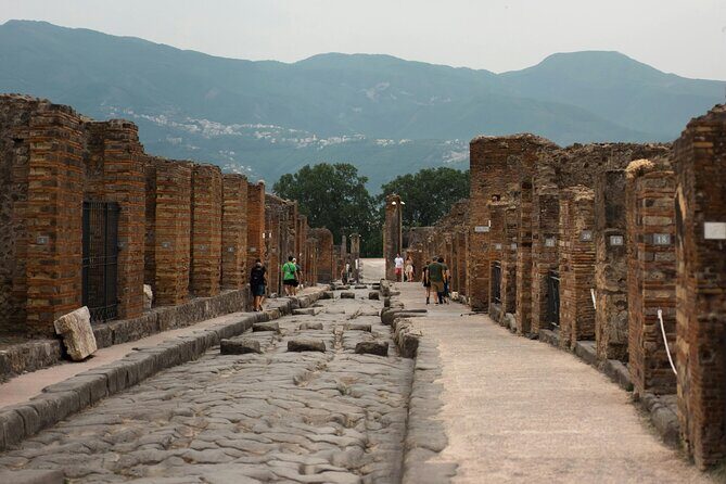 Skip the Line Pompeii Guided Tour Small Group or Private Option - In-Depth Review of the Pompeii Guided Tour