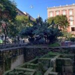 Skip-the-Line Pompeii Ruins & Naples City Center Private Tour with a Local Guide - Logistics and Practicalities