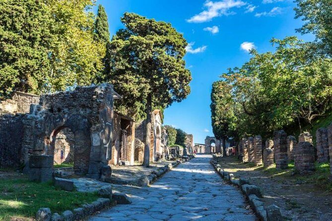 Skip the Line Private Pompeii Guided Tour - FAQs