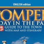 Skip the Line Ticket for Pompeii with a Guide Book of the Site - Why Price and Value Matter