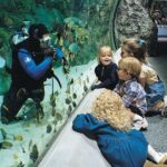 Skip the Ticketing Line: Aquarium of the Pacific General Admission Ticket - The Sum Up