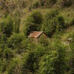 Skippers Canyon Goldrush Small Group Tour - Who Will Love This Tour?