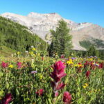 Skoki Lake Louise Daily Guided Hike in the Canadian Rockies - Who Will Love This Tour?