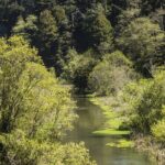 Skunk Train: Pudding Creek Express from Fort Bragg - Practical Details and Tips