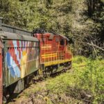 Skunk Train: Wolf Tree Turn from Willits - Why Choose the Wolf Tree Turn?