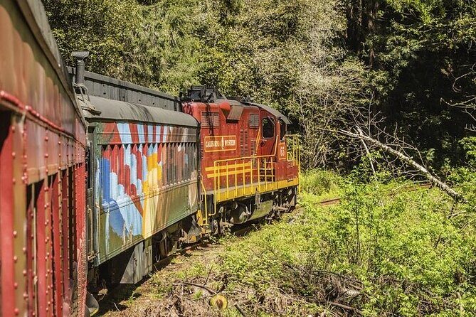 Skunk Train: Wolf Tree Turn from Willits