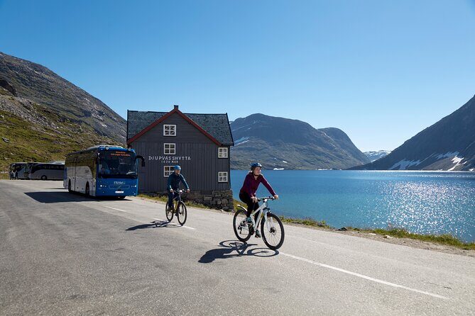 Sky to Fjord Geiranger Downhill Biking Adventure - An In-Depth Look at Your Geiranger Biking Adventure