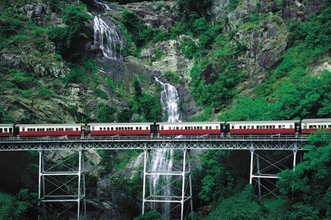 SKYRAIL CABLEWAY TRANSFER between Port Douglas & Skyrail (RETURN) - Who Should Consider This Transfer?