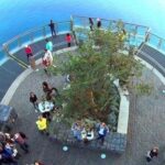 Skywalk, Madeira Wines Tasting and Vineyards 4x4 Experience - Authentic Experiences and What Travelers Value