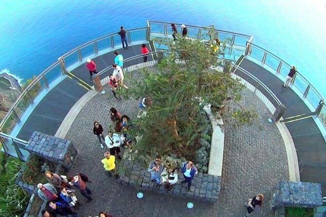 Skywalk, Madeira Wines Tasting and Vineyards 4x4 Experience - Authentic Experiences and What Travelers Value