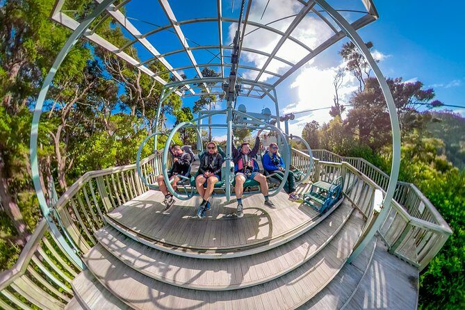 Skywire Adventure at Cable Bay, Nelson - Why This Tour Offers Great Value