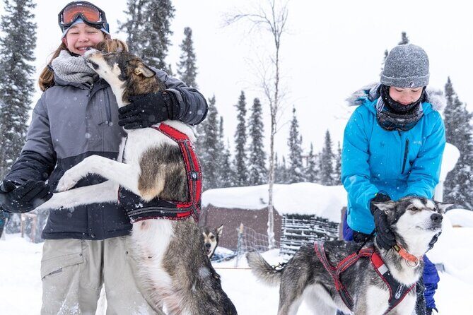 Sledding and Homesteading Adventure - An In-Depth Look at the Sledding and Homesteading Adventure