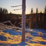 Slegding and tram-tour - Discovering Trondheim’s Winter Charm on a Sledding & Tram Tour