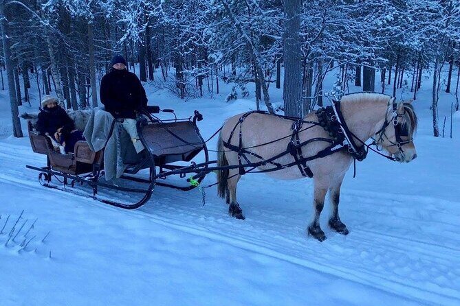 Sleigh or wagon ride in the arctic Country side - The Itinerary in Detail