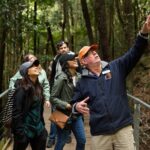 Small All-Inclusive Blue Mountains, Scenic World, Lunch, Cruise - First Stop: The Three Sisters
