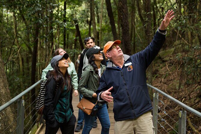 Small All-Inclusive Blue Mountains, Scenic World, Lunch, Cruise - First Stop: The Three Sisters