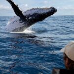 Small Boat Whale Watching Tour in Gold Coast - Frequently Asked Questions