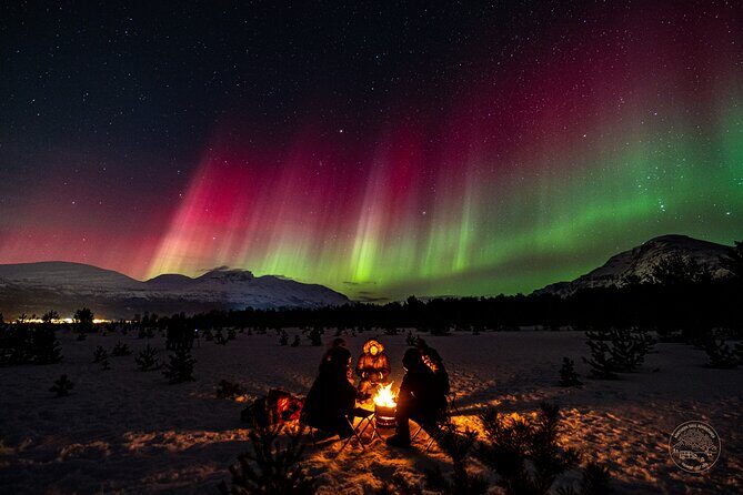 Small Group 4x4 Van Journey in Search of the Northern Lights - Why You Should Consider This Tour