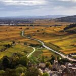 Small group Afternoon in Côte de Nuits - A Deep Dive into the Côte de Nuits Tour