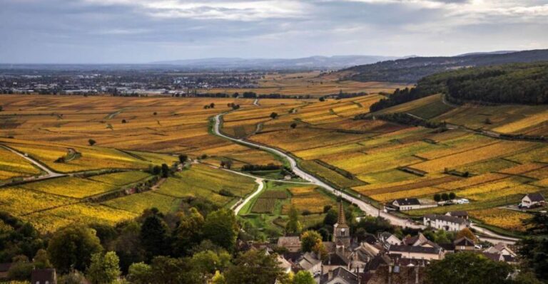 Small group Afternoon in Côte de Nuits - A Deep Dive into the Côte de Nuits Tour
