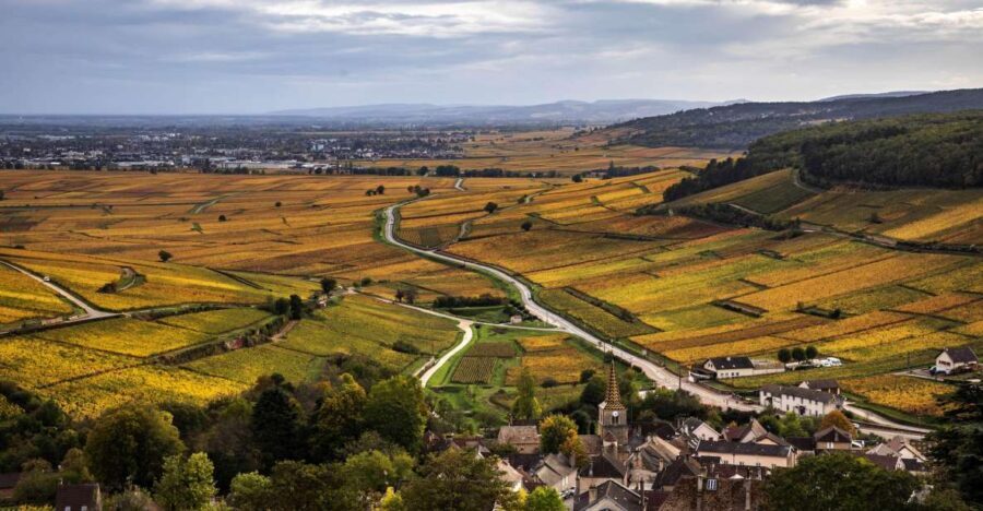 Small group Afternoon in Côte de Nuits - A Deep Dive into the Côte de Nuits Tour