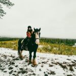 Small-Group Arctic Circle Horse Riding from Rovaniemi - Who Will Love This Tour?
