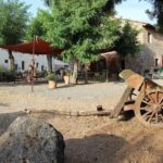 Small-Group Arezzo and Cortona Day Trip from Siena - Who Will Love This Tour?
