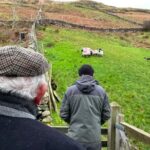 Small Group Aughnanure Castle, Sheepdog Demo & Connemara Tour - An In-Depth Look at the Tour Experience