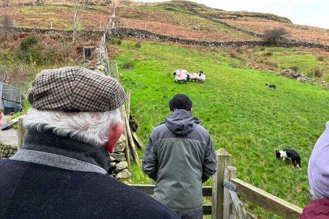 Small Group Aughnanure Castle, Sheepdog Demo & Connemara Tour - An In-Depth Look at the Tour Experience