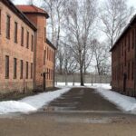 Small Group Auschwitz-Birkenau Guided Tour from Krakow ABTA - Who Should Consider This Tour?