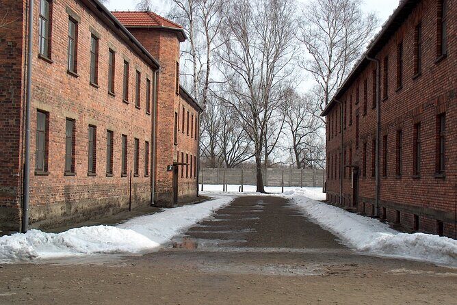 Small Group Auschwitz-Birkenau Guided Tour from Krakow ABTA - Who Should Consider This Tour?
