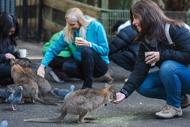 Small Group Blue Mountains Wildlife & Bushwalk Tour From Sydney - The Experience from the Traveler’s Perspective