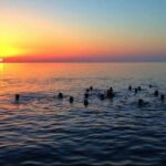 Small Group Boat Day & Evening Tour to Sorrento Coast and Capri - Authentic Experiences and Traveler Tips