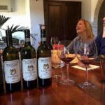 Small-Group Brunello Wine Tour of Montalcino from Florence - A Balanced Perspective: The Pros and Cons