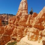 Small Group Bryce Canyon & Zion National Park Tour from Las Vegas - What the Reviews Tell Us