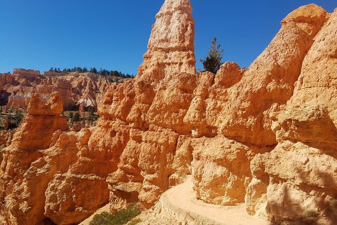 Small Group Bryce Canyon & Zion National Park Tour from Las Vegas - What the Reviews Tell Us