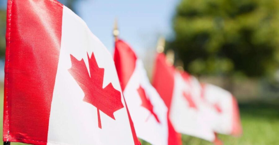 Small-Group Canadian Normandy D-Day Juno Beach from Paris - What Makes This Tour Stand Out?