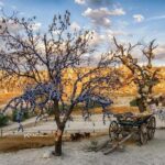 Small-Group Cappadocia Tour: Devrent Valley, Monks Valley and Open Air Museum in Goreme - Who Will Love This Tour?