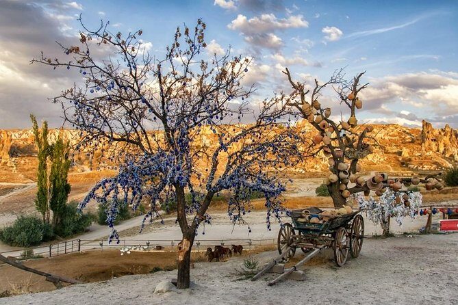 Small-Group Cappadocia Tour: Devrent Valley, Monks Valley and Open Air Museum in Goreme - Who Will Love This Tour?