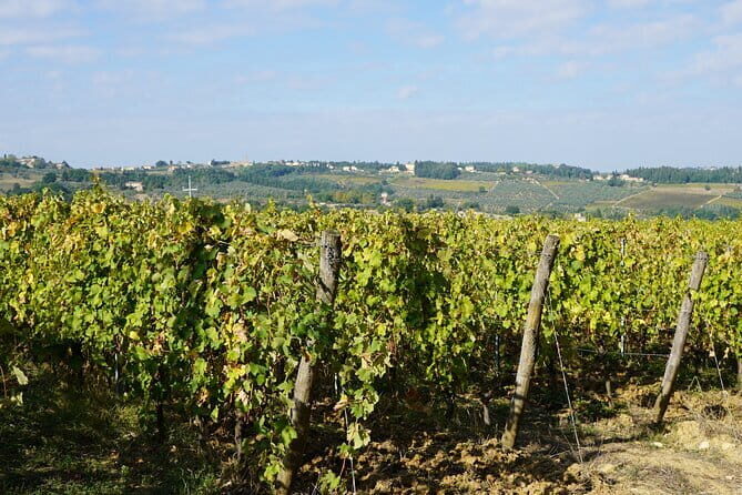 SMALL GROUP Chianti 2 wineries & meat feast @ Dario Cecchini - The Sum Up