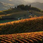 Small-Group Chianti and San Gimignano Sunset Trip from Siena - Why the Tour Offers Great Value